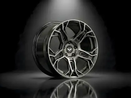 5F1VE - XIV — Angular Y-Spoke