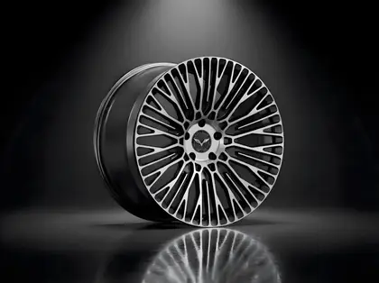 73VEN - XVII — Forked Multi-Spoke